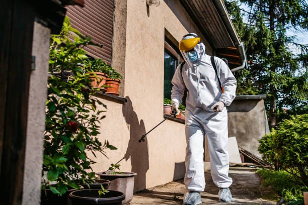 Best Rat Extermination Near Me  in Jackson Center, OH