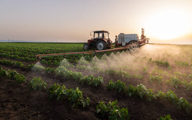 Best Pest Removal Services  in Jackson Center, OH