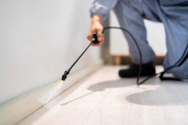 Best Termite Control Services  in Jackson Center, OH