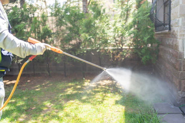 Best Pest Removal Services  in Jackson Center, OH