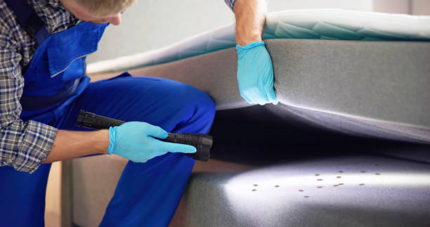 Best Pest Control Near Me  in Jackson Center, OH