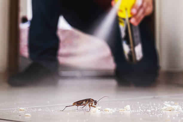Best Best Pest Control Companies  in Jackson Center, OH