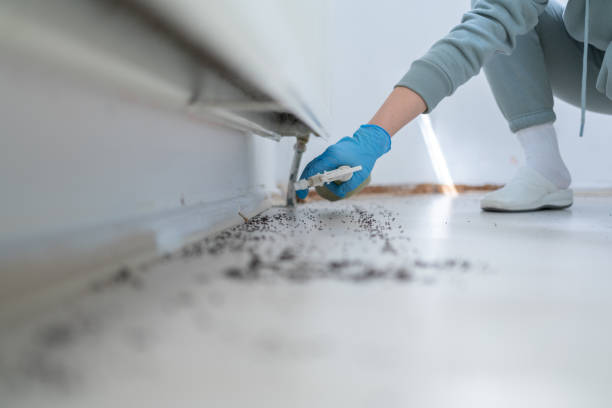 Wildlife Control Services in Jackson Center, OH