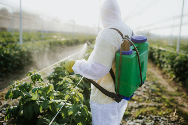 Best Wasp Removal Services  in Jackson Center, OH